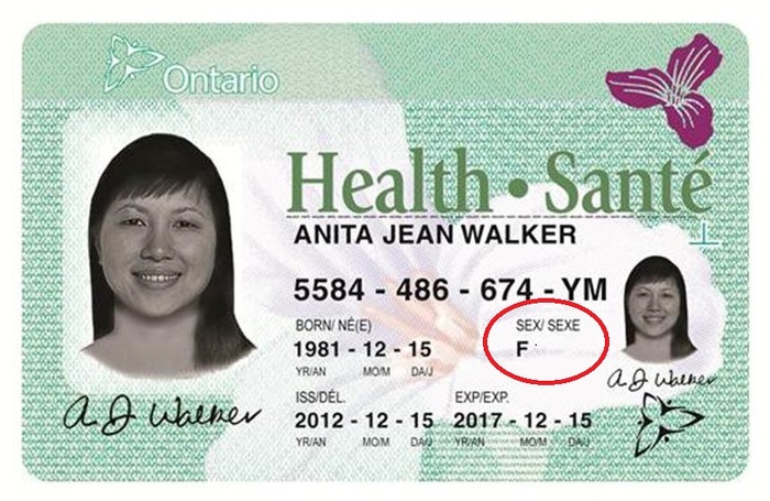 document number on drivers license ontario