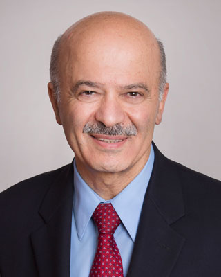 Reza Moridi